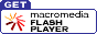 flash player����