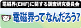 電磁界ってなんだろう
